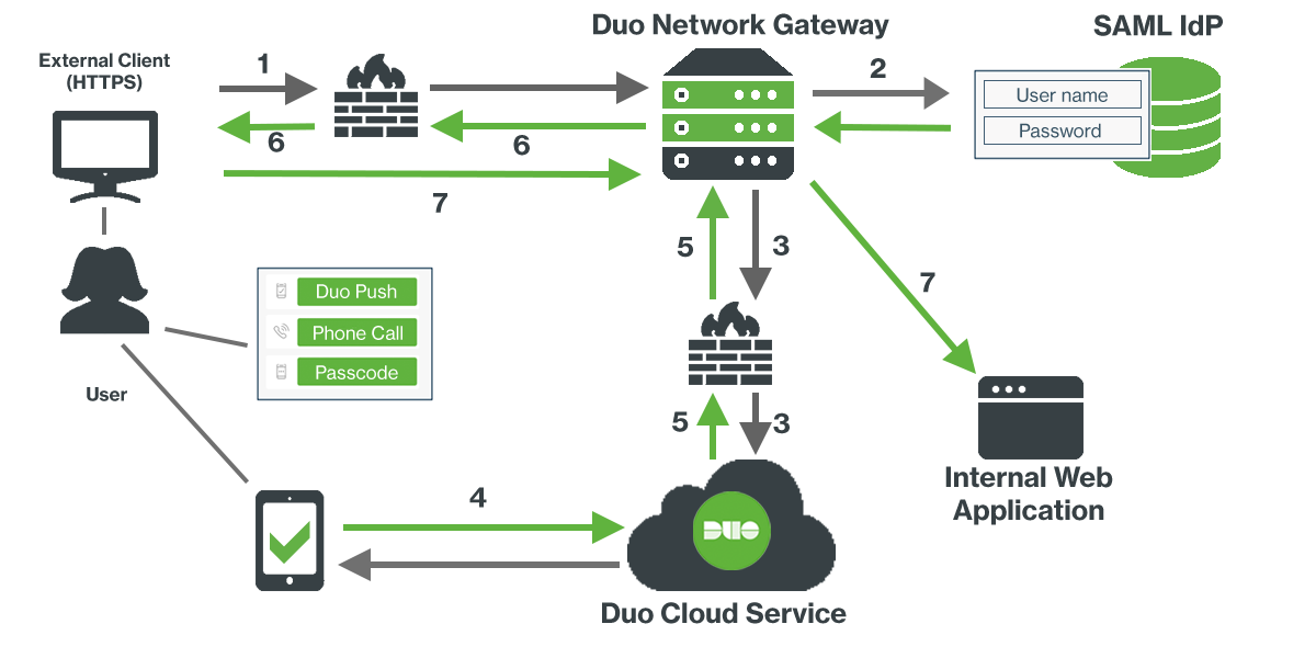 DNG Web Network Diagram