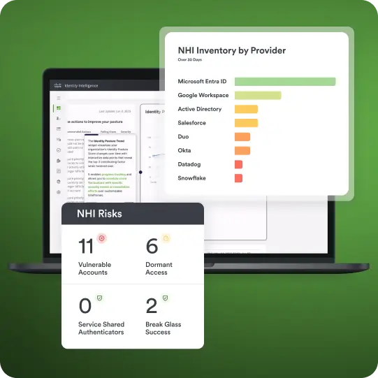 Identity Intelligence in action