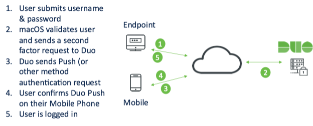 Graphic showing the process for authentication when a device is online