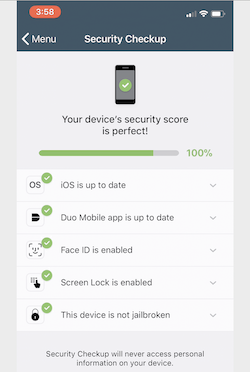 A screen shot of the Security Checkup tool, with the message Your device's security score is perfect!