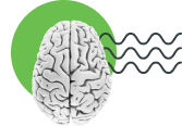 brain to represent knowledge based mfa icon