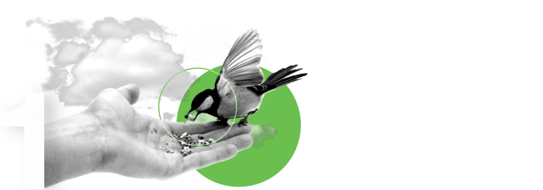 1. A hummingbird eating out of a person's hand, representing user trust.