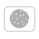 Graphic icon of a fingerprint to represent biometrics