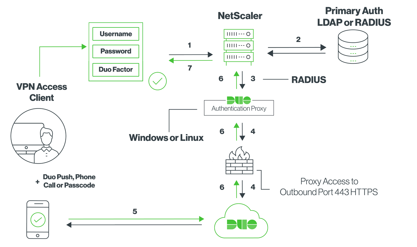 NetScaler Duo-Only Network Diagram