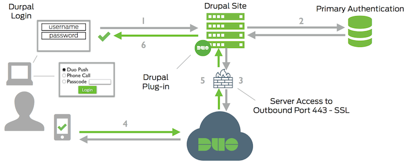 Drupal Network Diagram