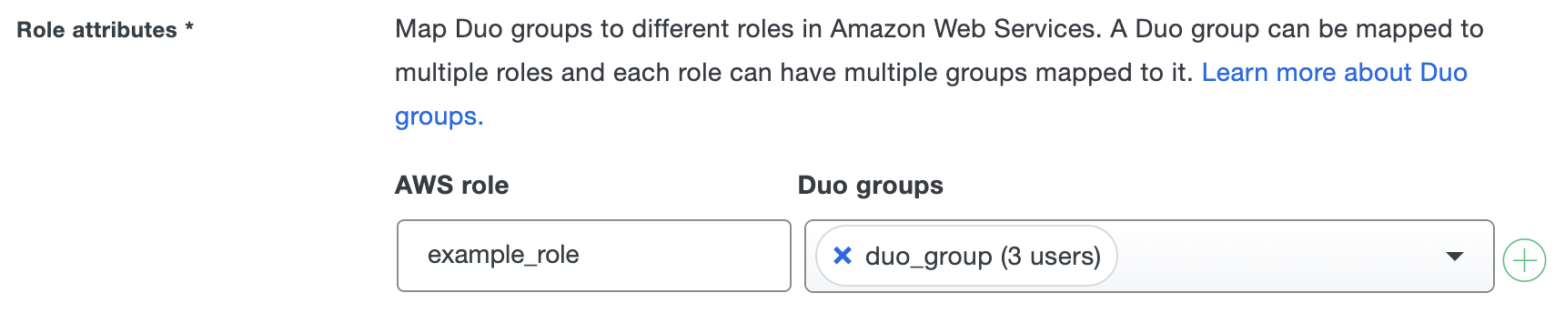 Duo Amazon WorkSpaces Role Attributes