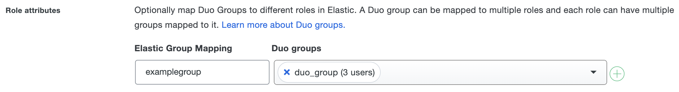 Duo Elastic Role Attributes Fields