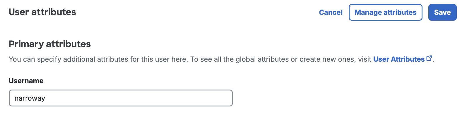 Custom User Attributes in User Details