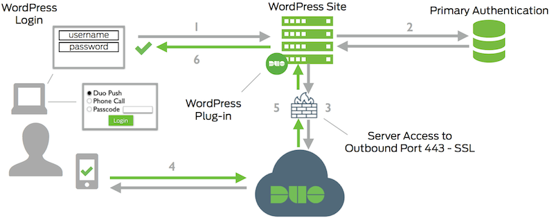 WordPress Network Diagram