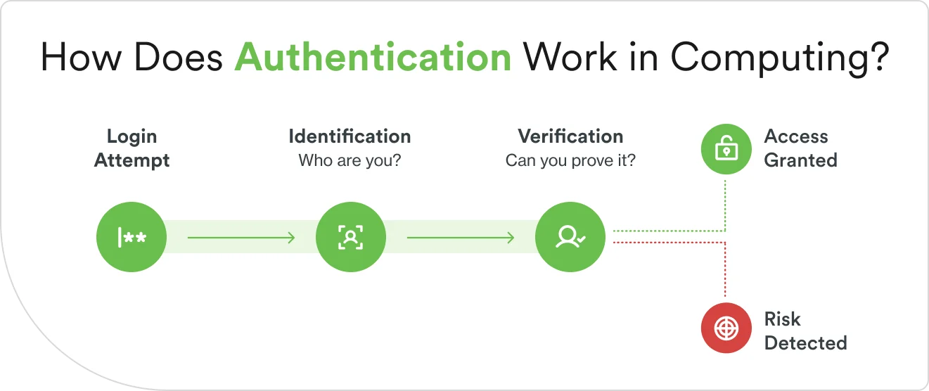 Authentication process: login attempt flows through identification and verification steps to access granted or risk detected