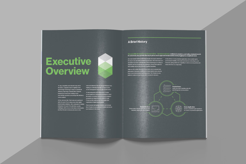Interior page spread with the heading Executive Overview and subheading A Brief History.