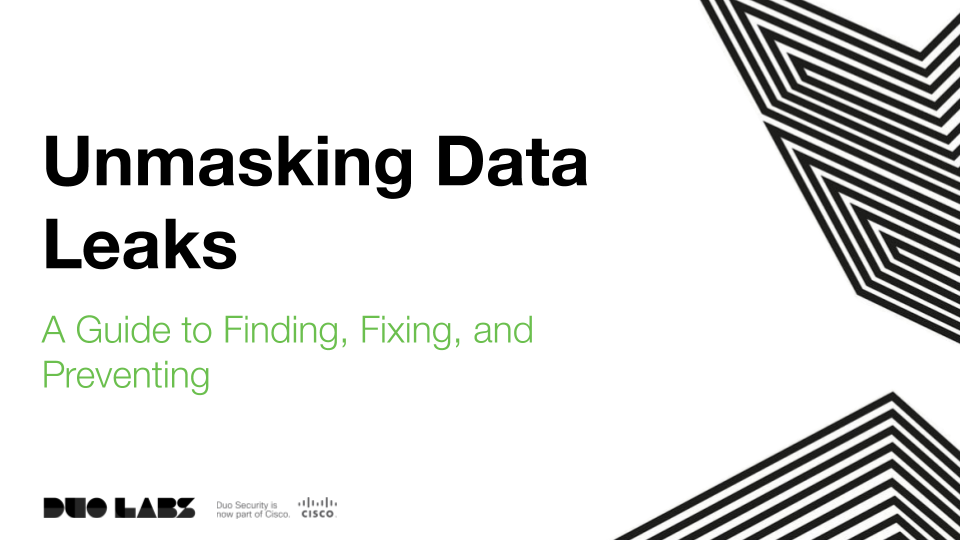Unmasking Data Leaks - Slide One