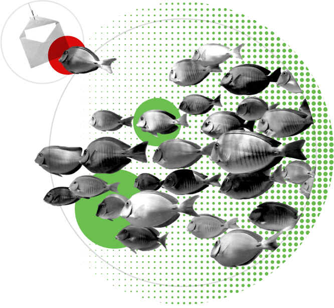 A school of fish chasing a letter on a hook, playfully representing phishing prevention.