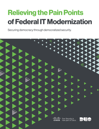 Relieving the Pain Points of Federal IT Modernization