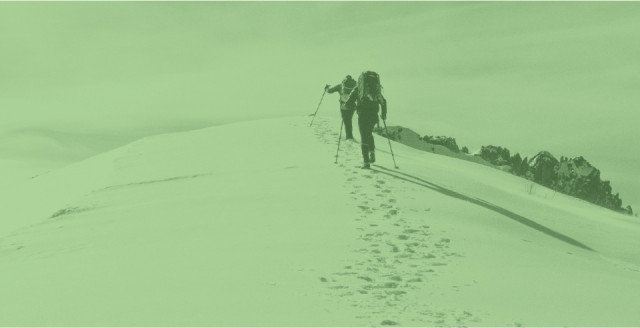 A group of climbers ascend a snowy mountain, overlaid with a color filter of Duo green
