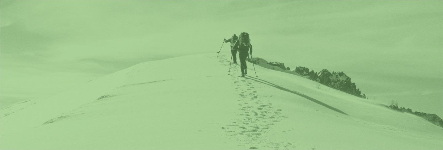 A group of climbers ascend a snowy mountain, overlaid with a color filter of Duo green