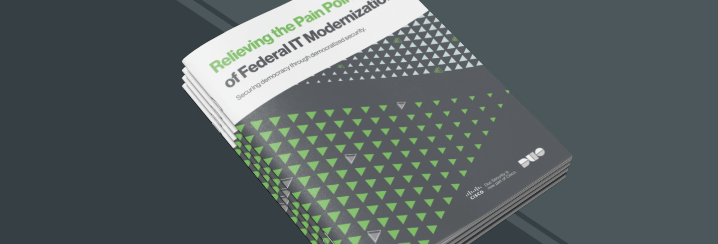 Relieving the Pain Points of Federal IT Modernization ebook