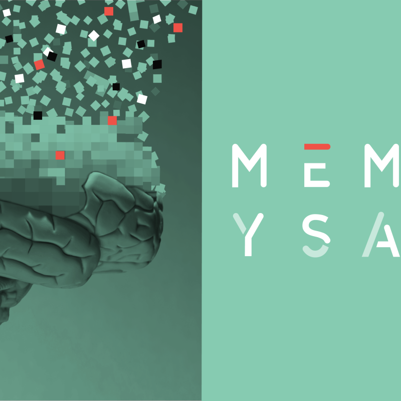 Memory Safe logo